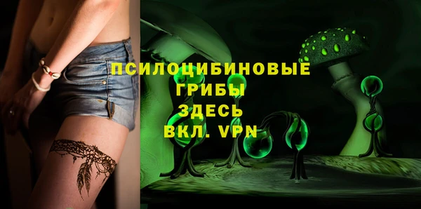 ешки Лабытнанги