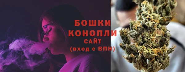 стафф Ладушкин