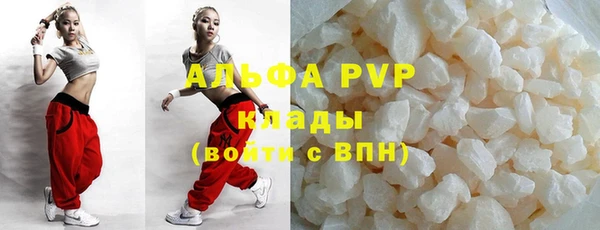 прущие грибы Волоколамск