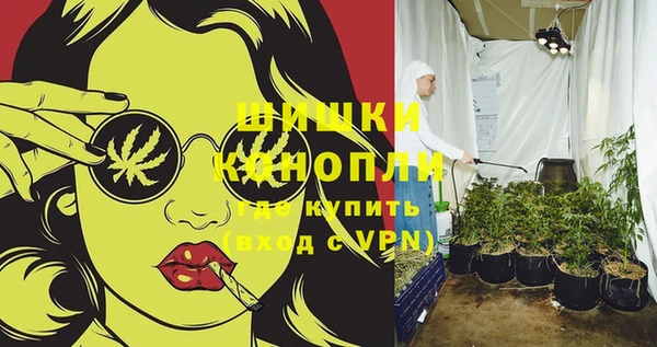 стафф Ладушкин