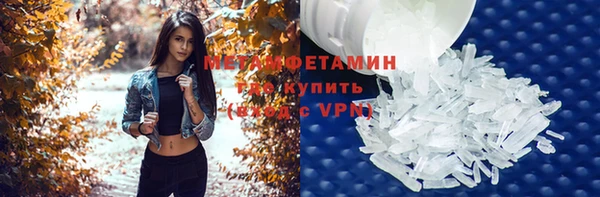 прущие грибы Волоколамск