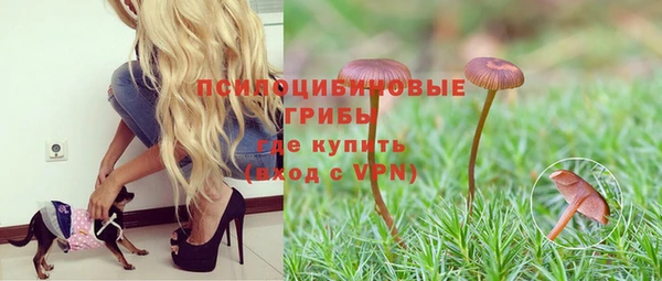 гидропоника Лагань