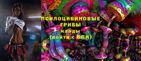 ешки Лабытнанги
