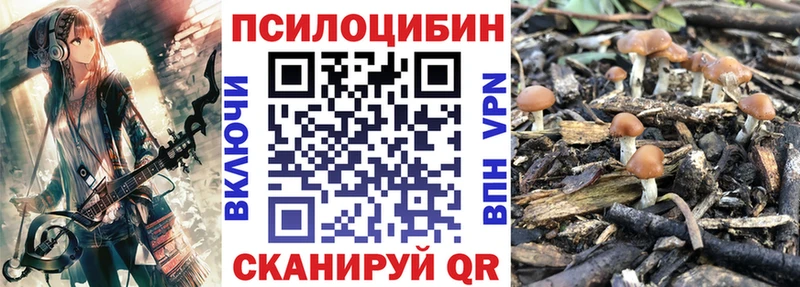 Галлюциногенные грибы прущие грибы  закладки  Вихоревка 